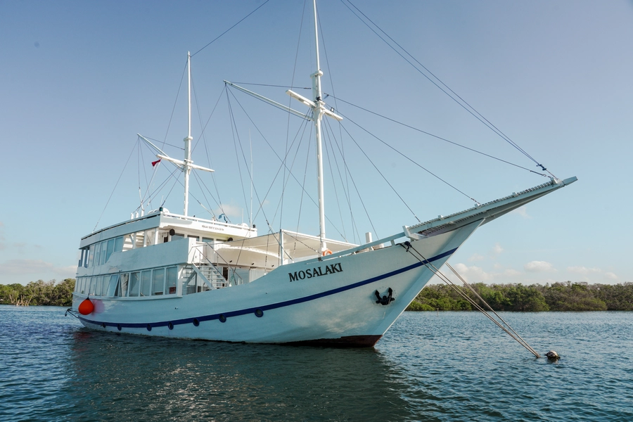 Mosalaki Luxury Private Sailing Komodo Escape