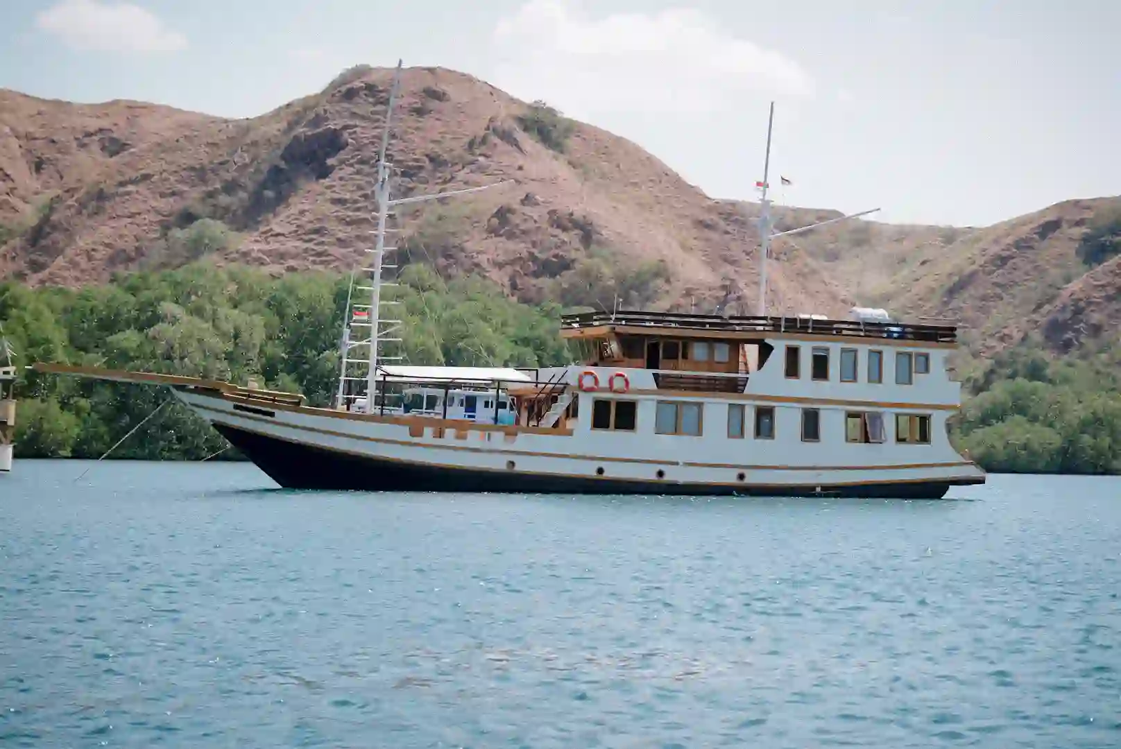 Private Charter - Deluxe 31 - Wood Wave