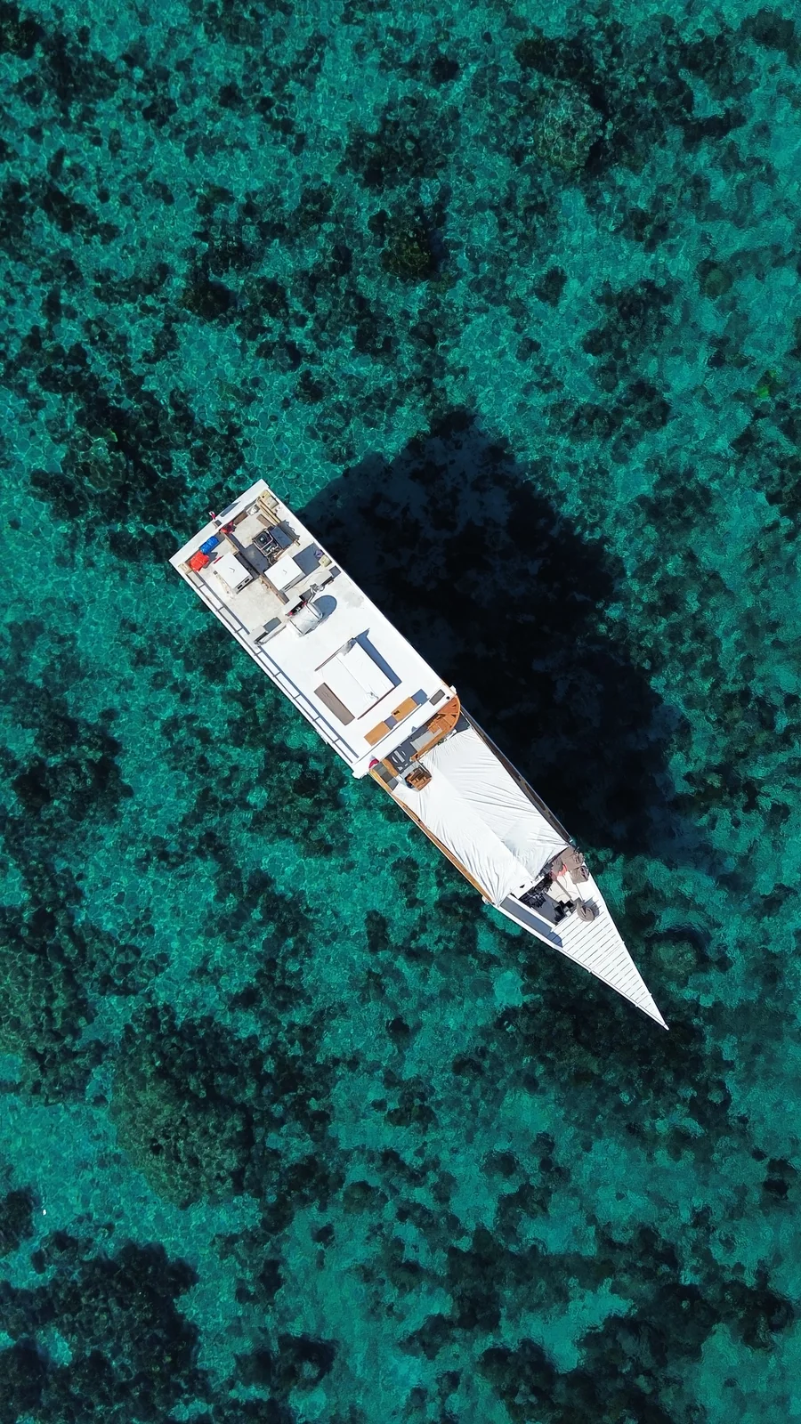 Private Charter - Superior 05 - Zendaya