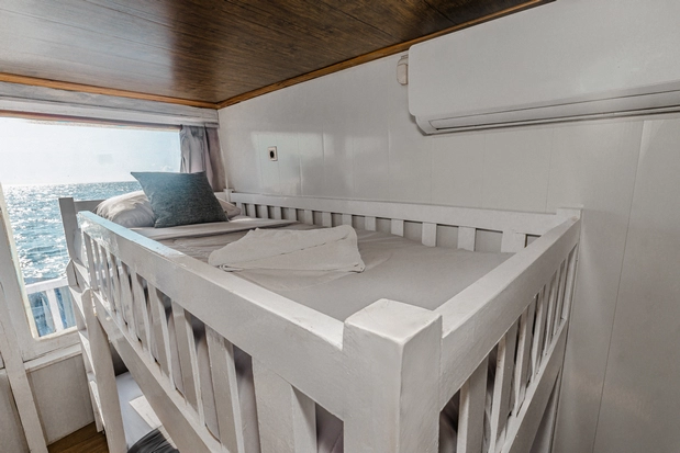 Shared Cabin