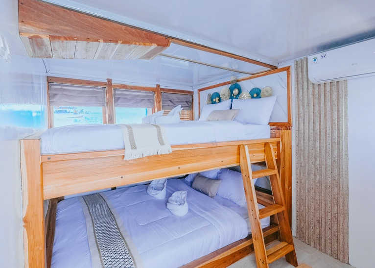 Shared Cabin 2