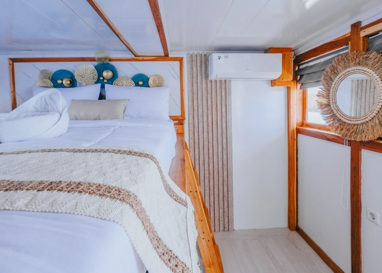 Shared Cabin 2