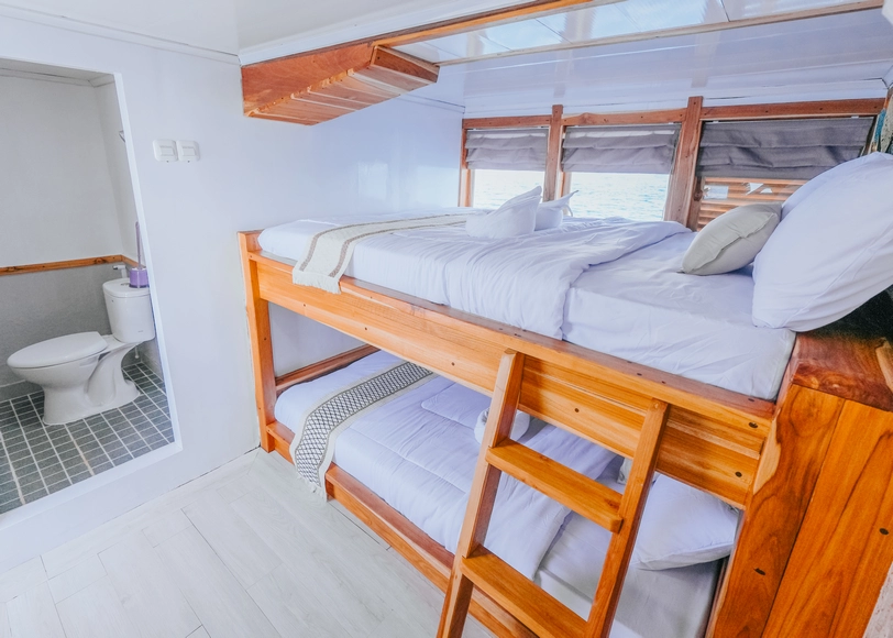 Shared Cabin 2