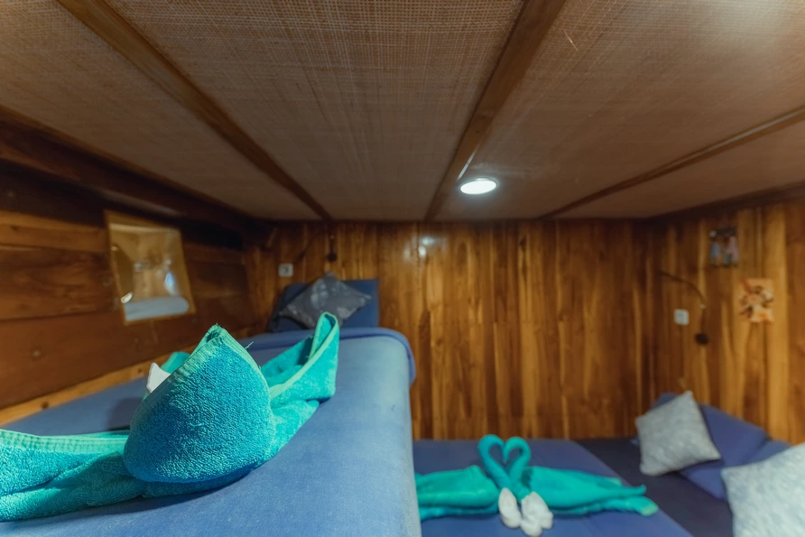Superior Cabin 2
