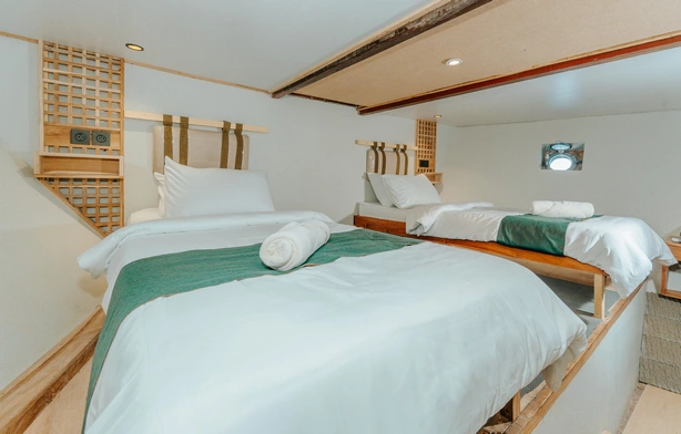 Shared Cabin 1