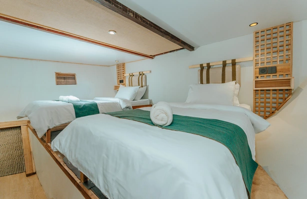 Shared Cabin 1