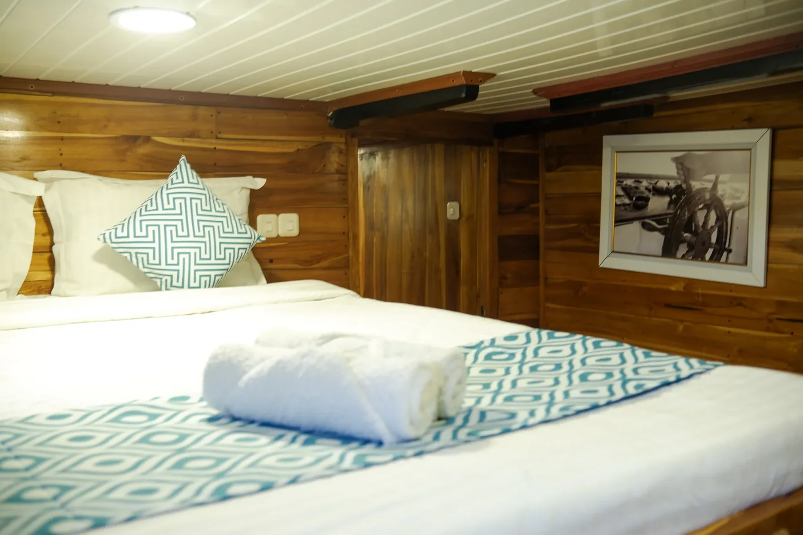 Shared Cabin