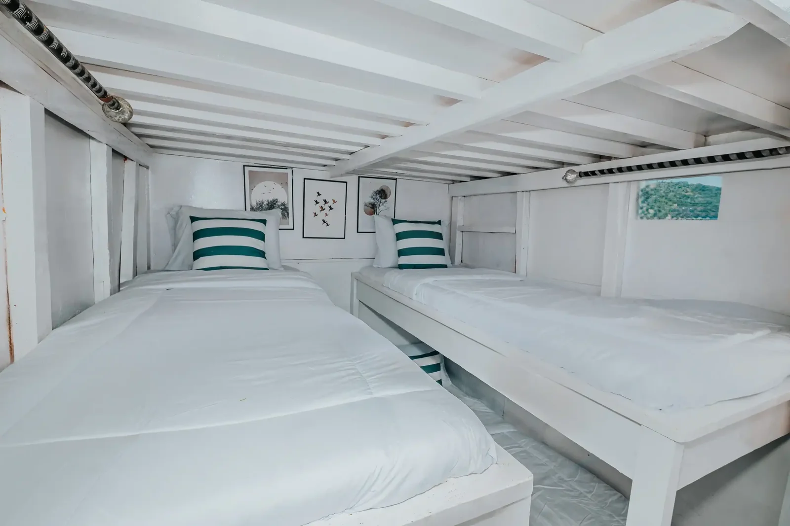 Shared Cabin