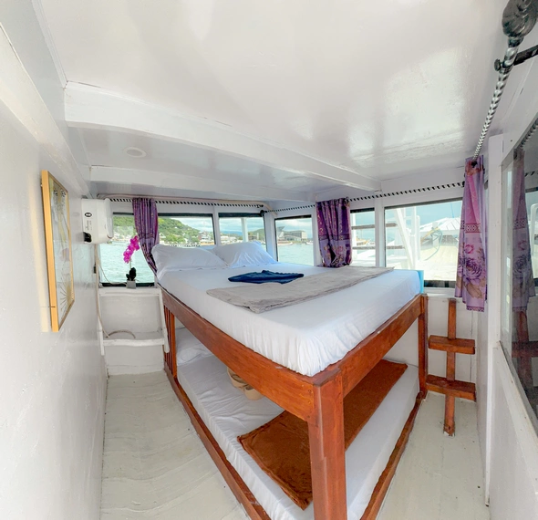 Shared Cabin 1