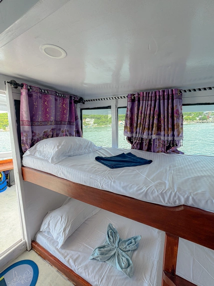 Shared Cabin 2