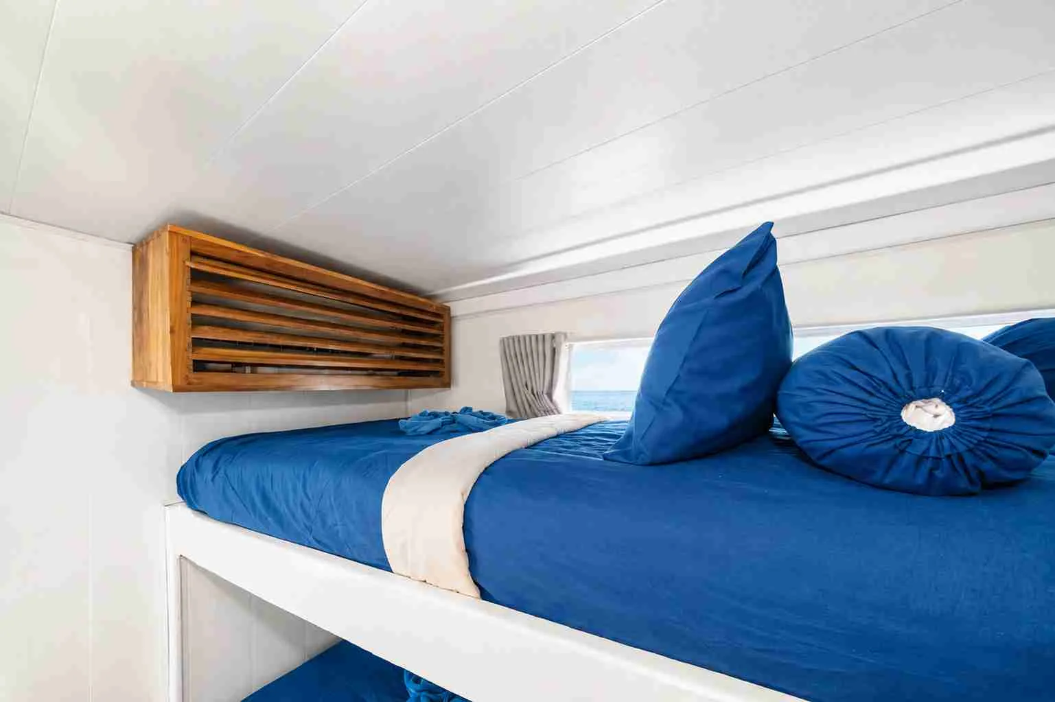 Shared Cabin 1