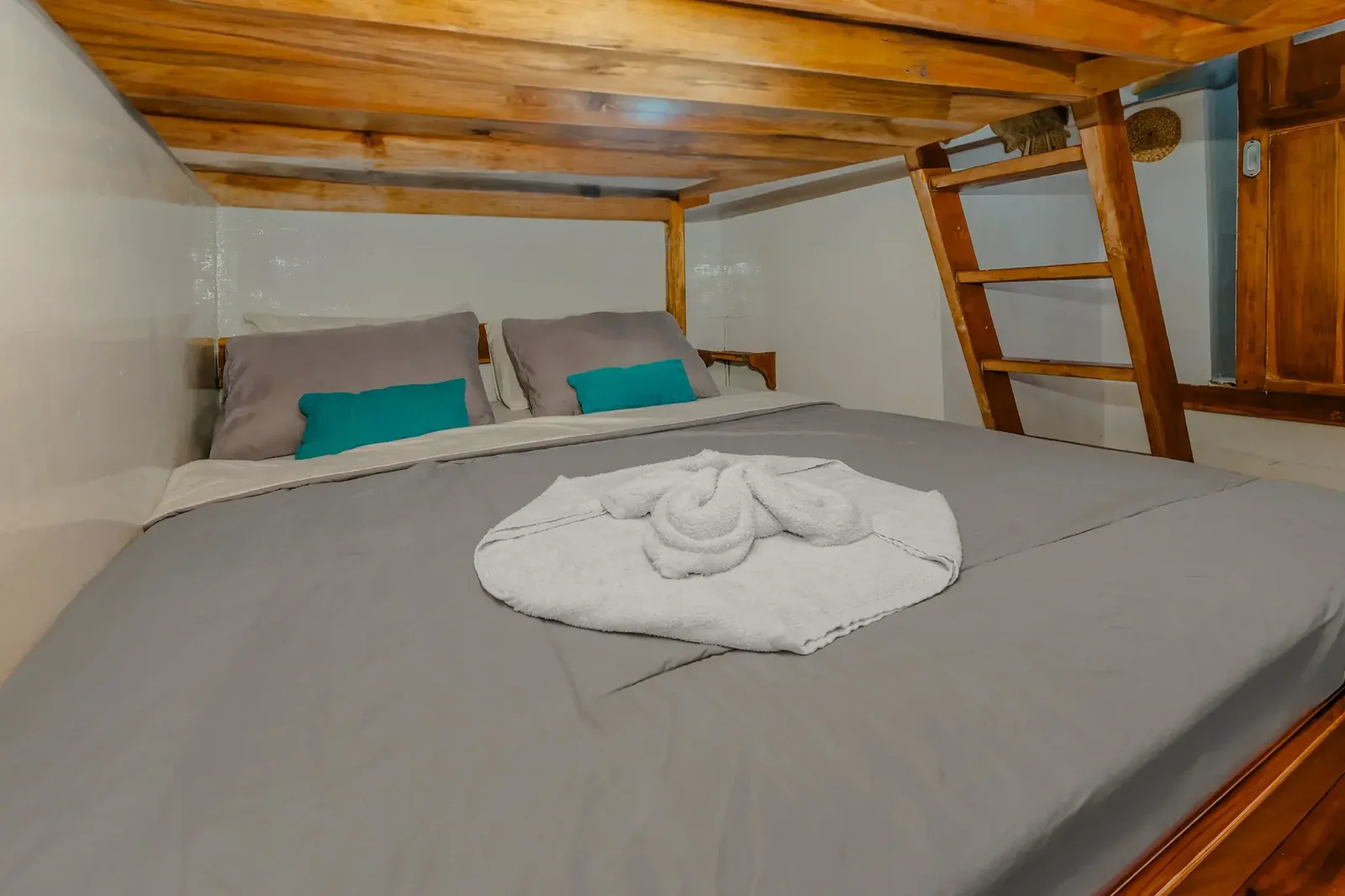 Shared Cabin 2