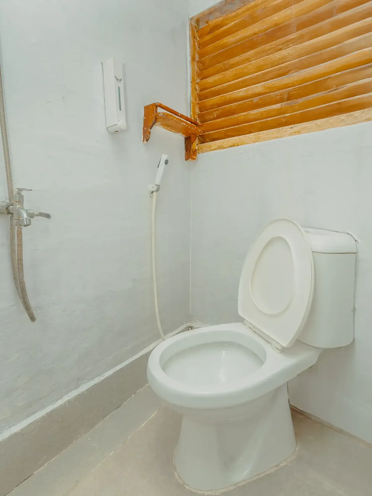 Shared Cabin 2