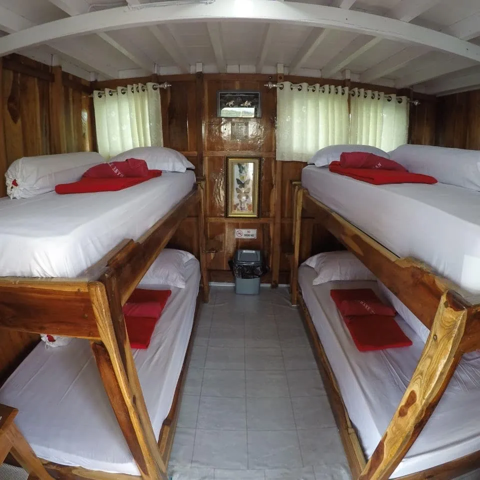 Shared Cabin 2