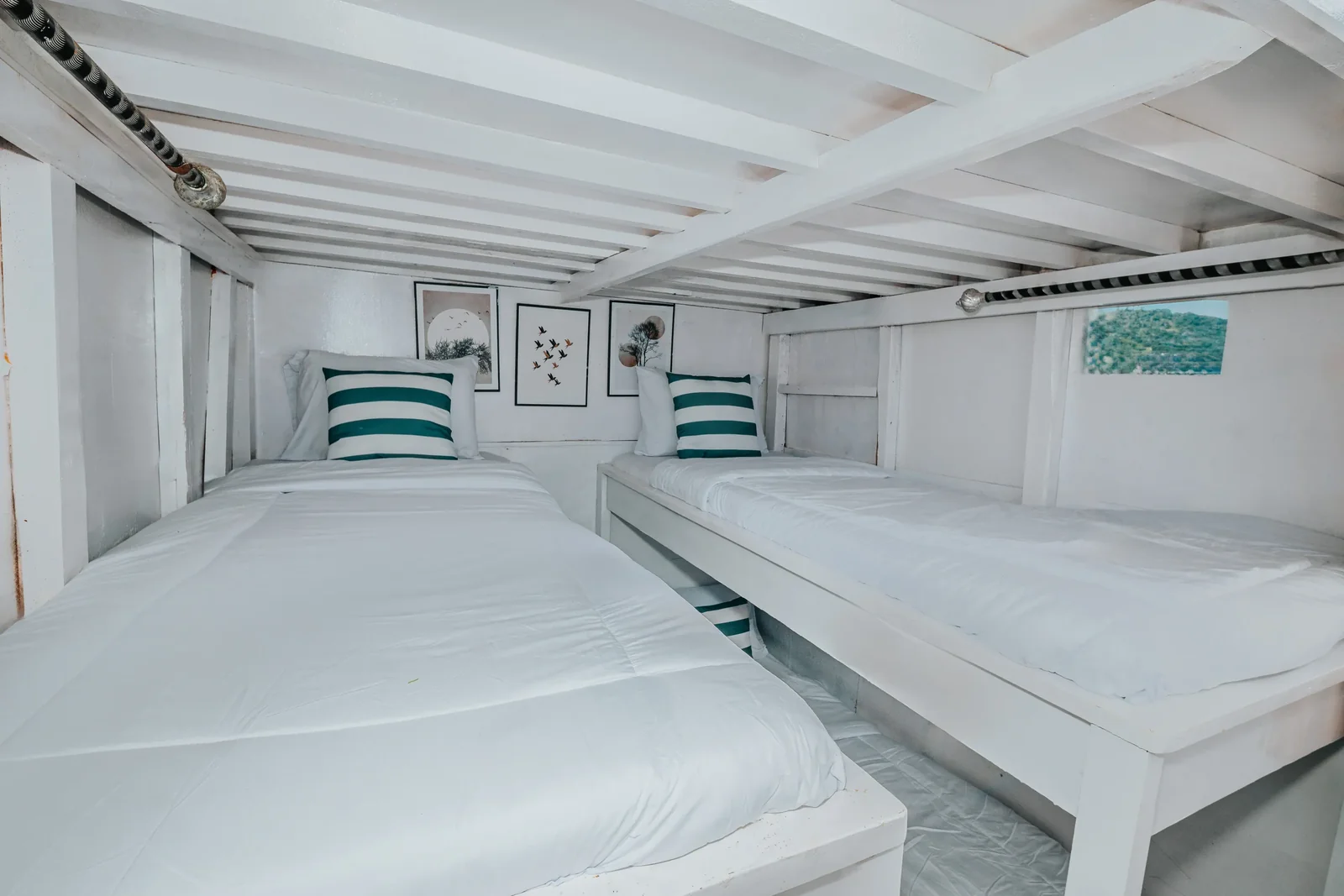 Shared Cabin