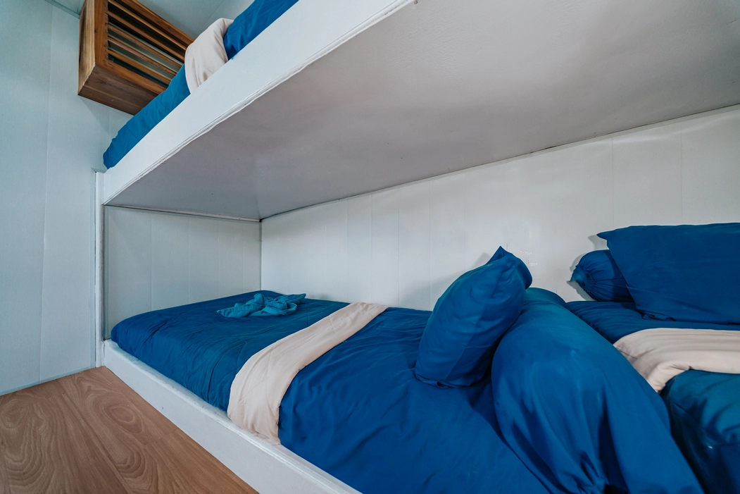 Shared Cabin 1