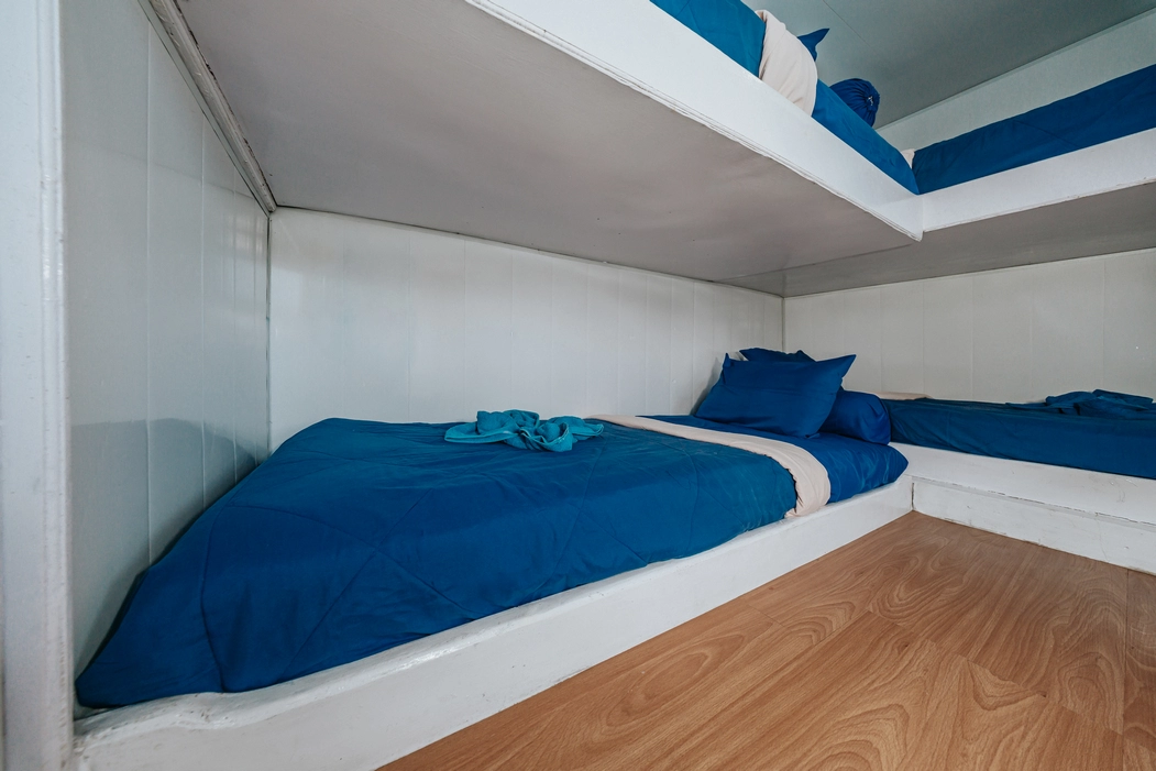 Shared Cabin 1