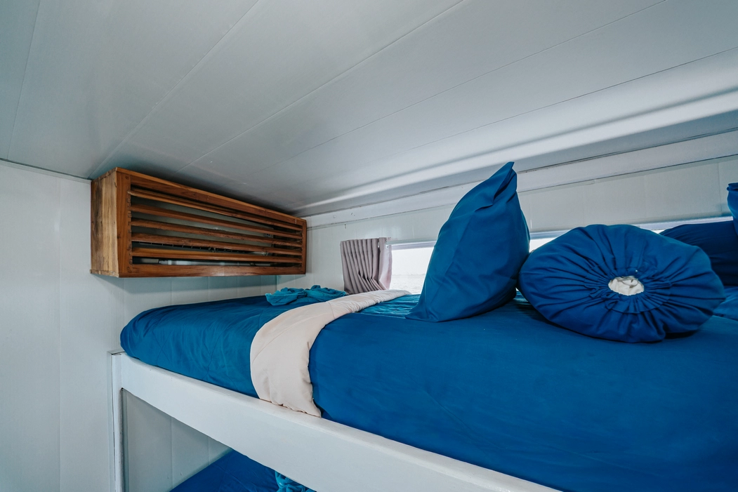 Shared Cabin 1