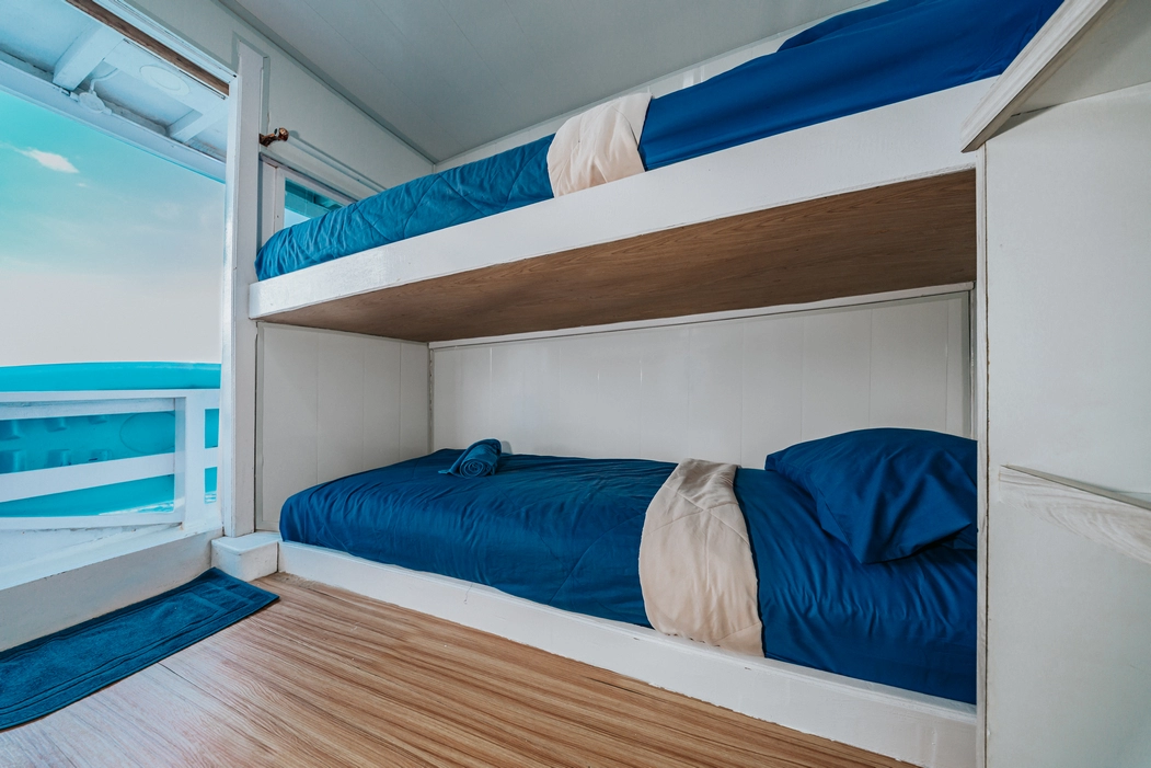 Shared Cabin 2