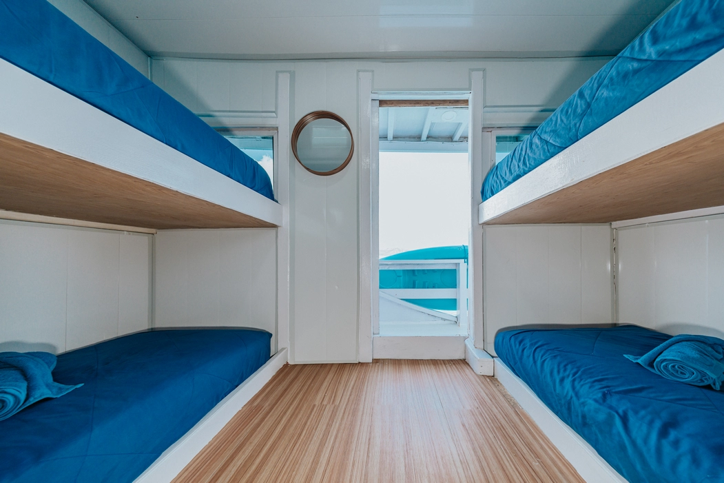 Shared Cabin 2