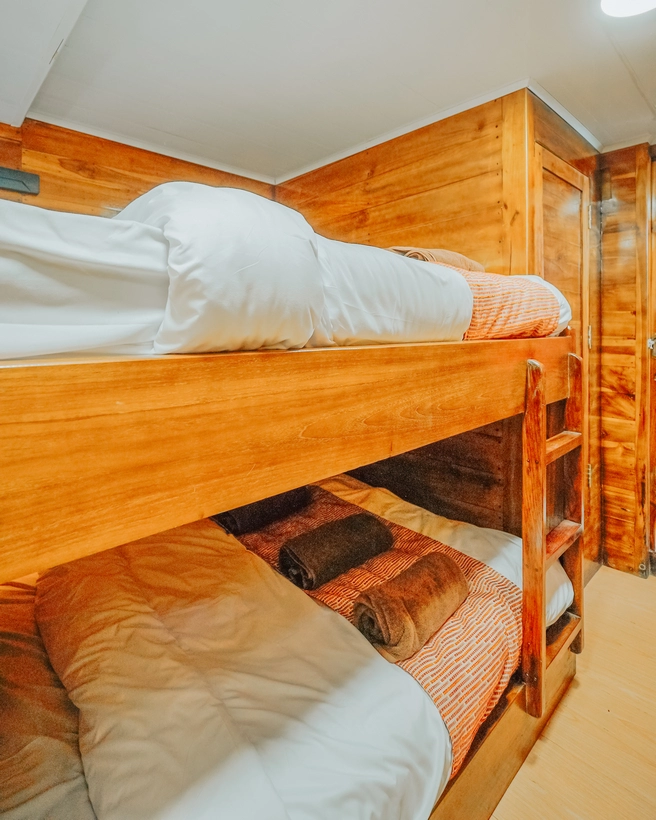 Shared Cabin